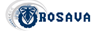 Шины Rosava